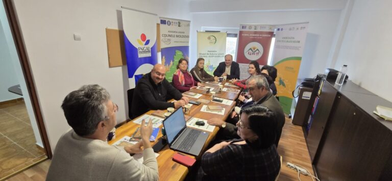 Activitate GAL Podu Inalt Vaslui - ian 2025 (5)